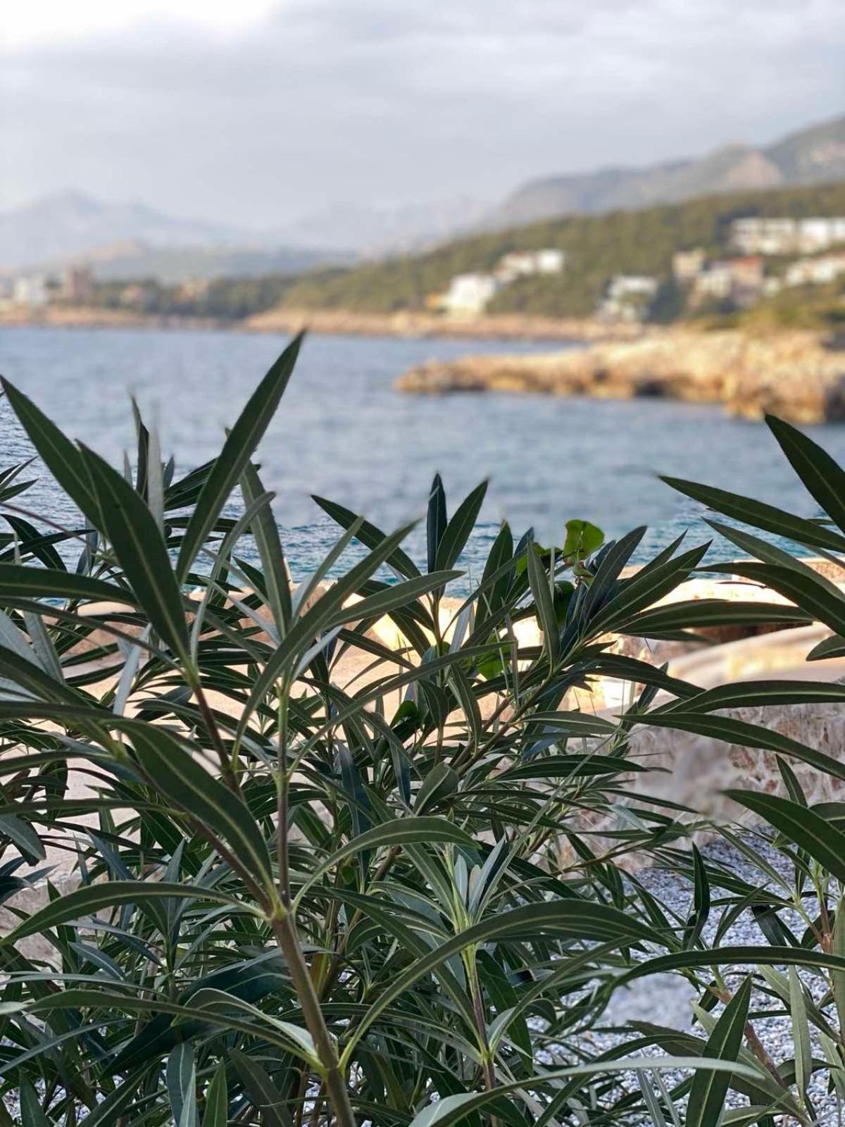 Seastar Eco Villa Utjeha Εξωτερικό φωτογραφία